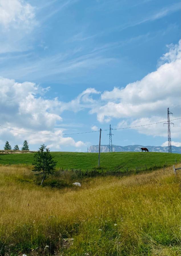 Willa Red Rock Žabljak Zewnętrze zdjęcie